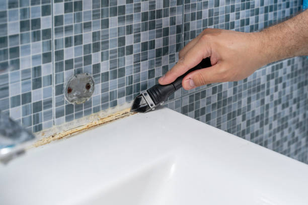 Best Best Mold Removal Companies  in Argentine, MI